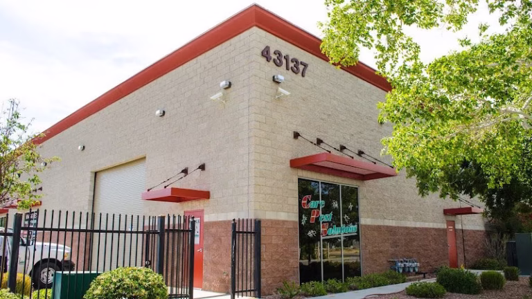 225369 care pest solutions 768x432