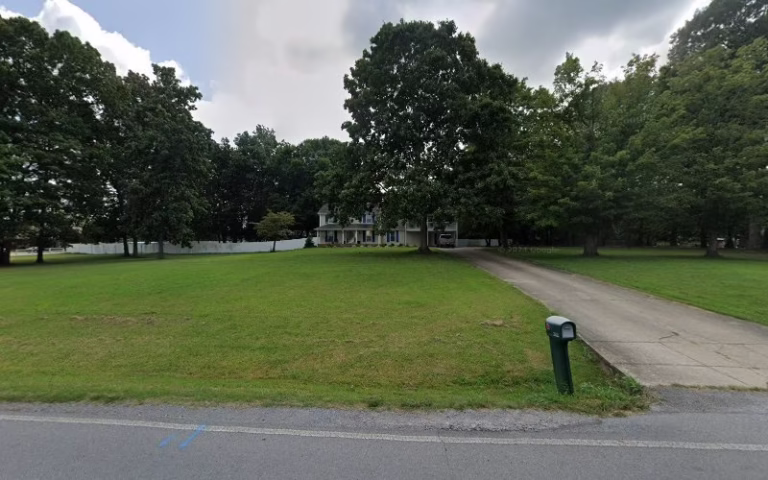 225422 the bug guys 768x480