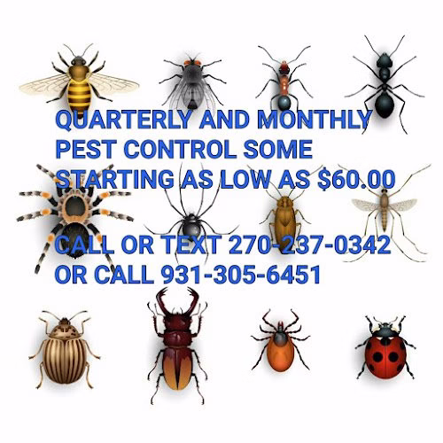 225438 causeys pest control termite