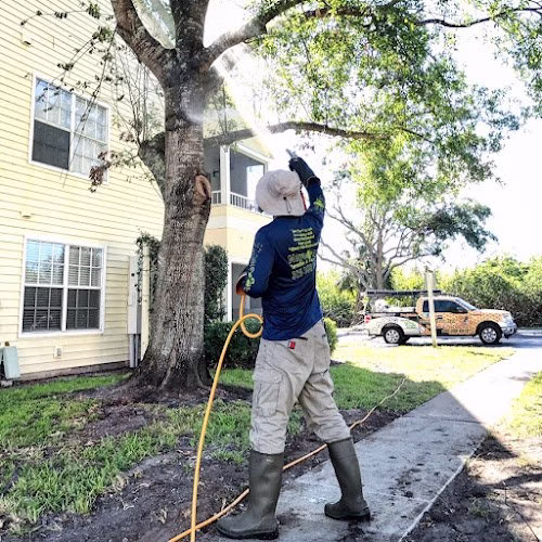 225531 mega bee rescues pest control