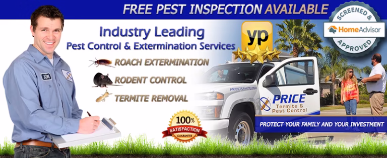 225538 price termite pest control 768x314