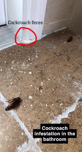 225552 optimum pest control llc