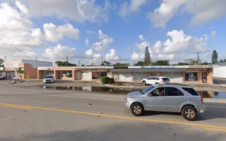 225577 rat removal 768x480