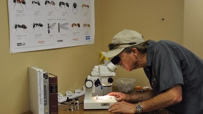 225591 rasberrys pest professionals