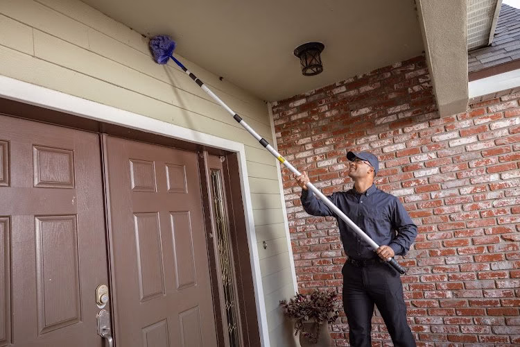 225644 active pest control 2