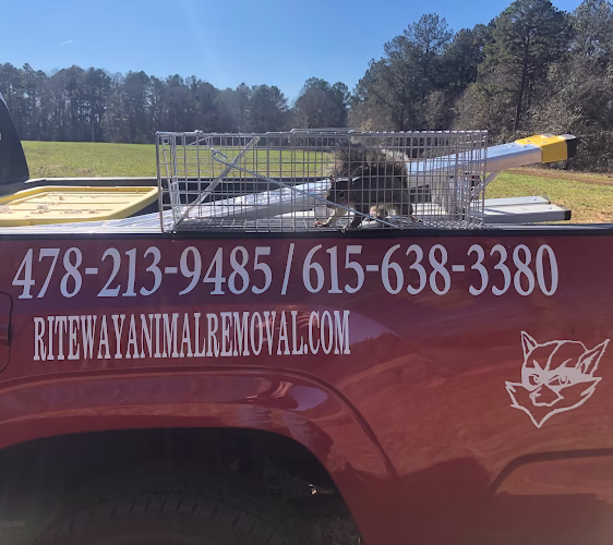 225706 rite way animal removal