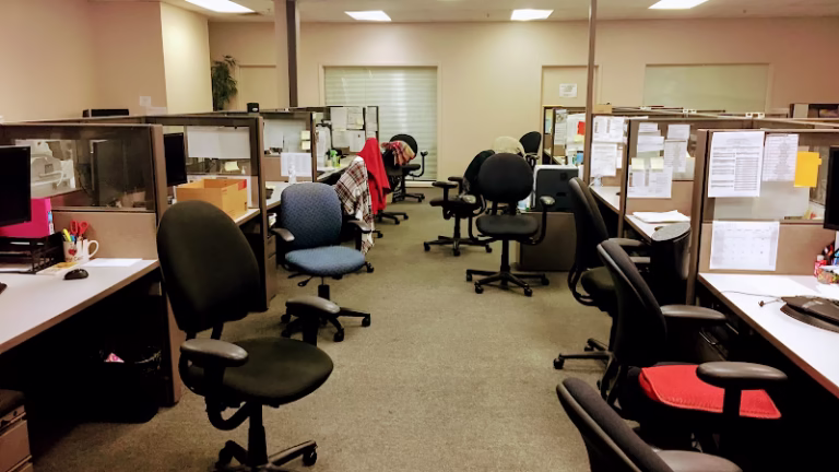 225807 novus pest control 768x432