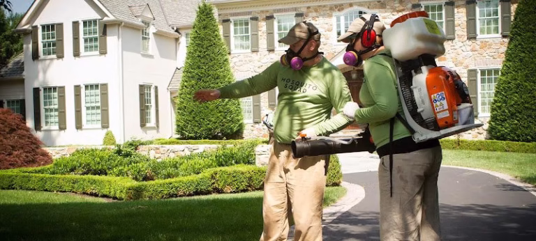 225816 mosquito squad of chicago 768x346