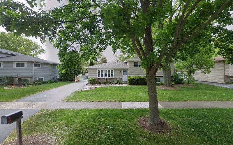 225823 bugs anonymous