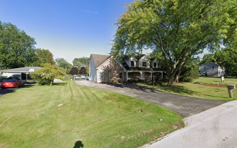 225845 geese police 768x480