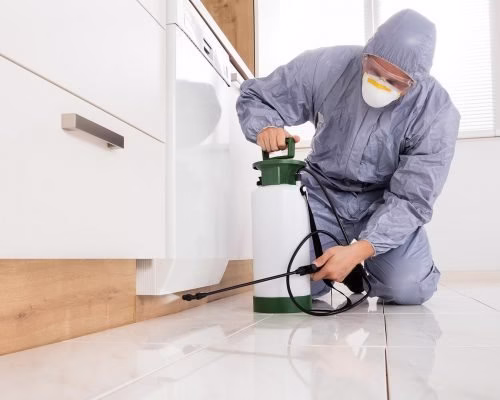 225994 above and beyond pest control