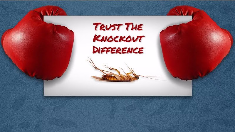 226060 knockout pest control