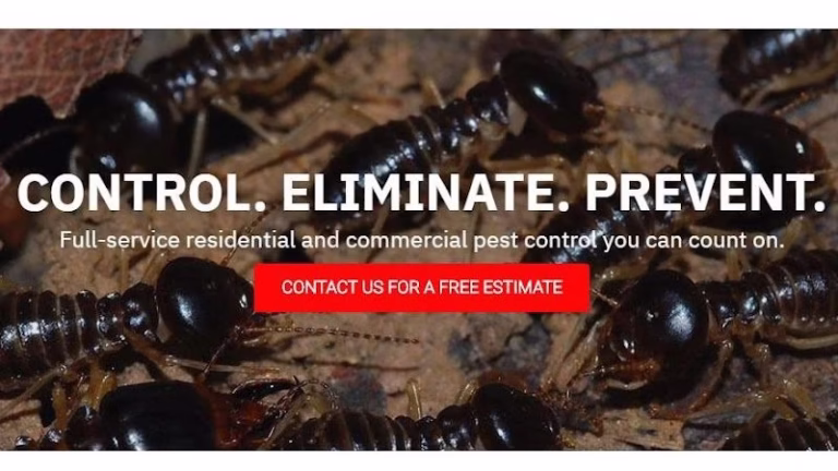 226095 connecticut pest elimination llc 768x432