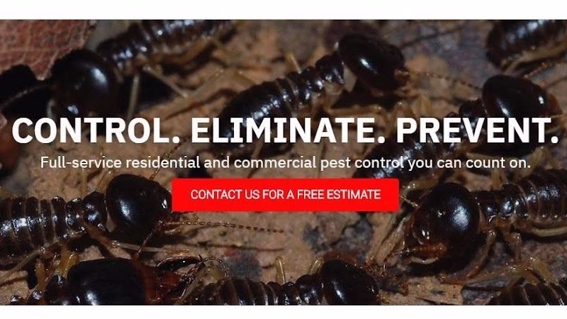226095 connecticut pest elimination llc