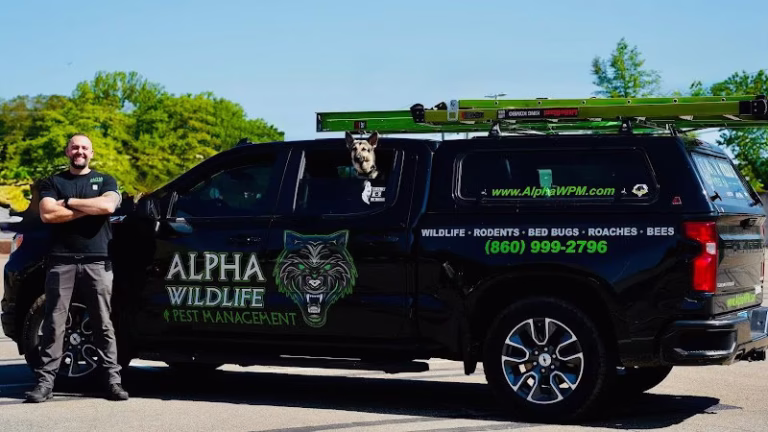 226097 alpha wildlife and pest management 768x432