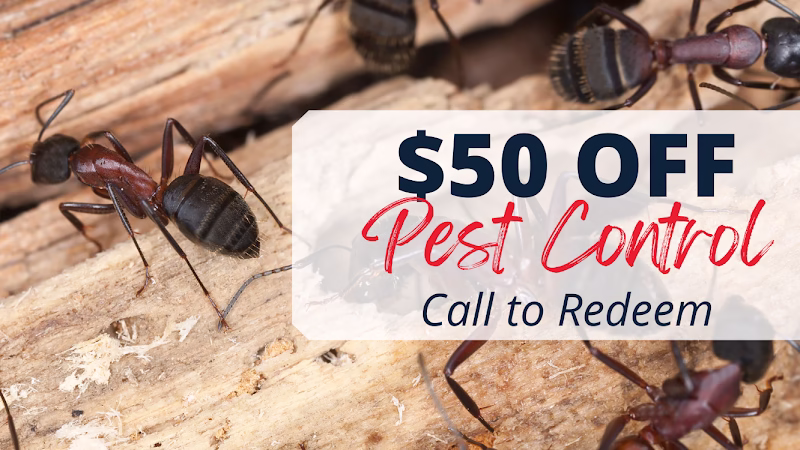 226122 fox pest control berlin