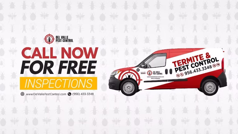 226124 del valle termite pest control 768x432