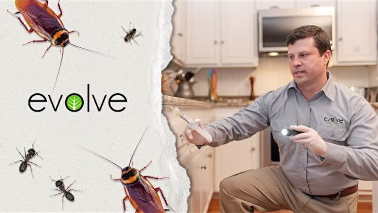 226165 evolve pest control 768x432