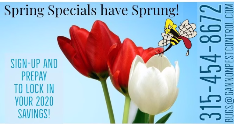 226206 gannon pest control 768x406