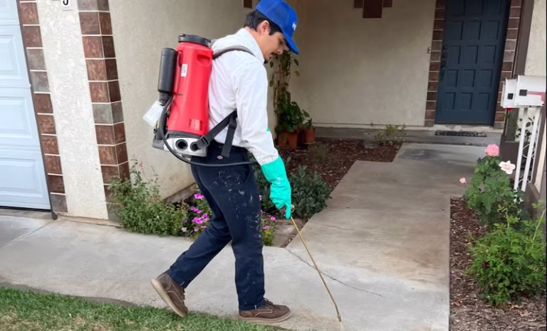 226281 prolific pest control 768x466