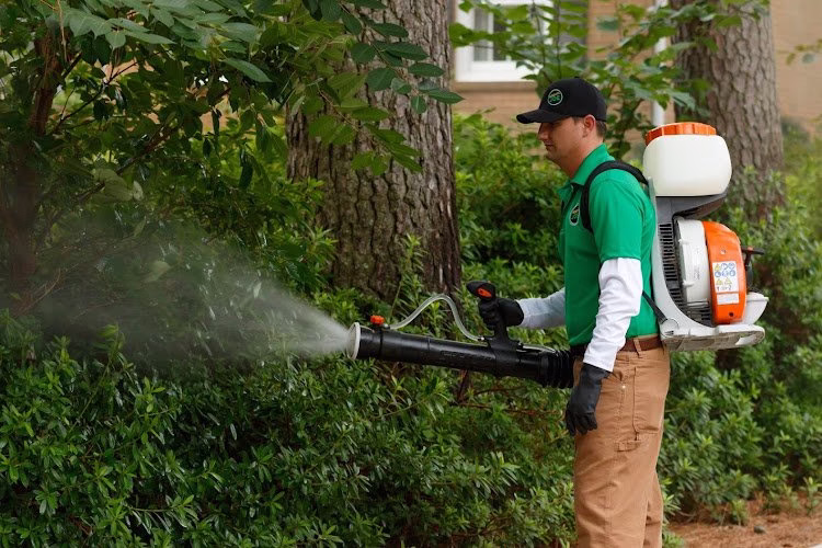 226402 mosquito joe of south dayton