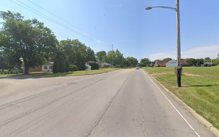 226427 daytons bed bug dog 1 768x480