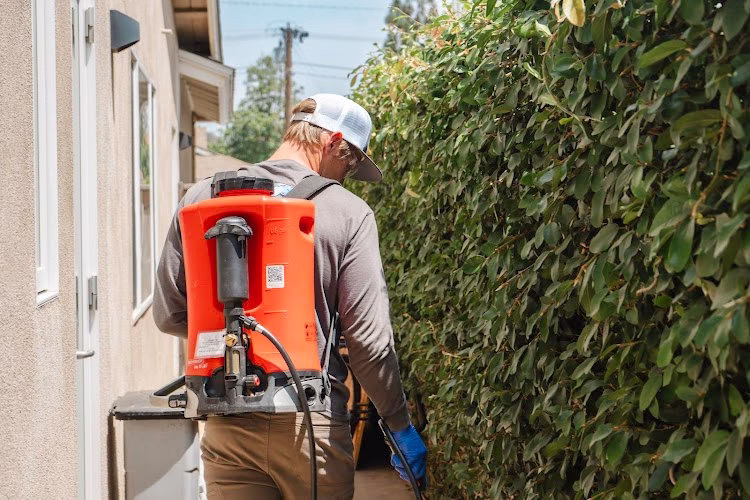 226470 wipe out pest control