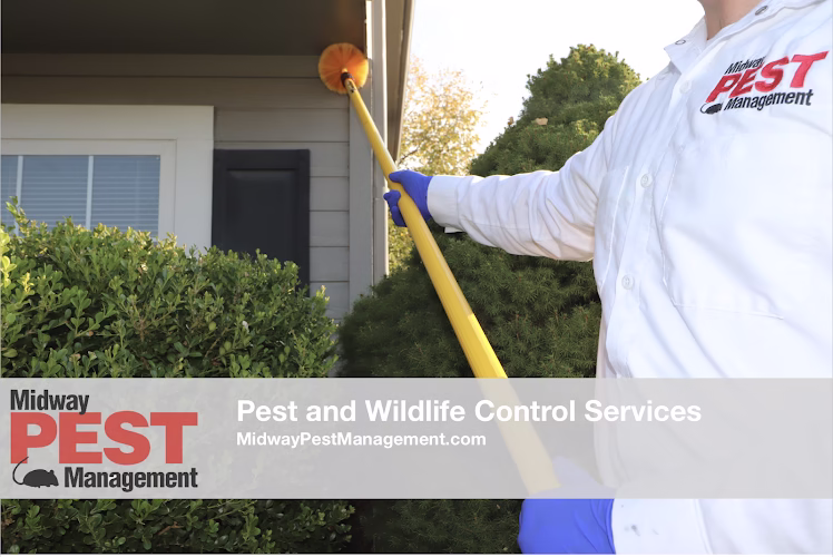 226485 midway pest management 1