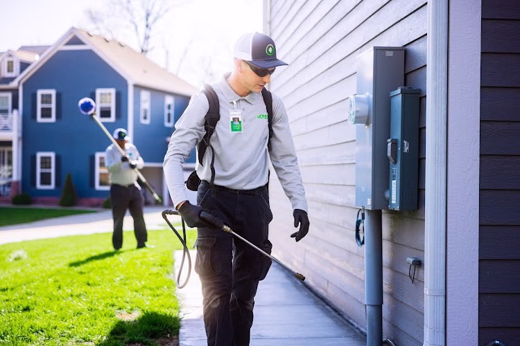 226532 green pest solutions