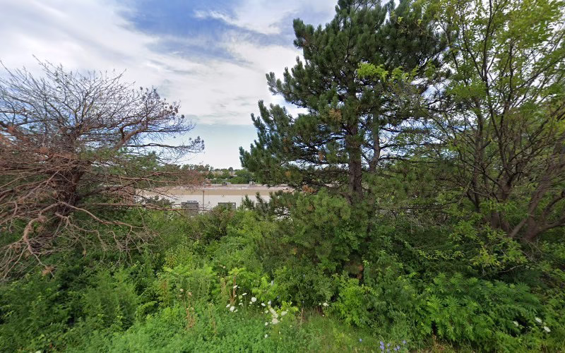 226549 mccloud services