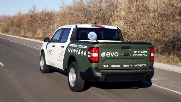 226559 evo pest control 768x432