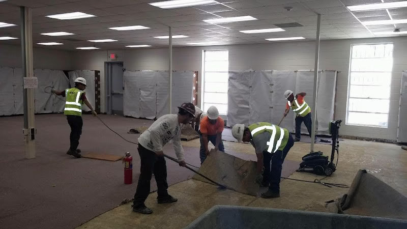 227160 georgia environmental group