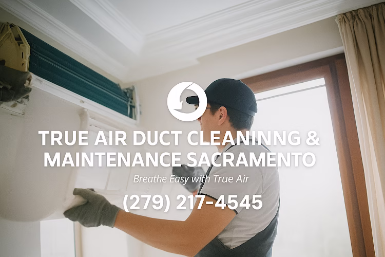 231710 true air duct cleaning maintenance sacramento