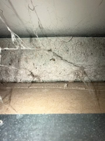 231858 northland air duct cleaning