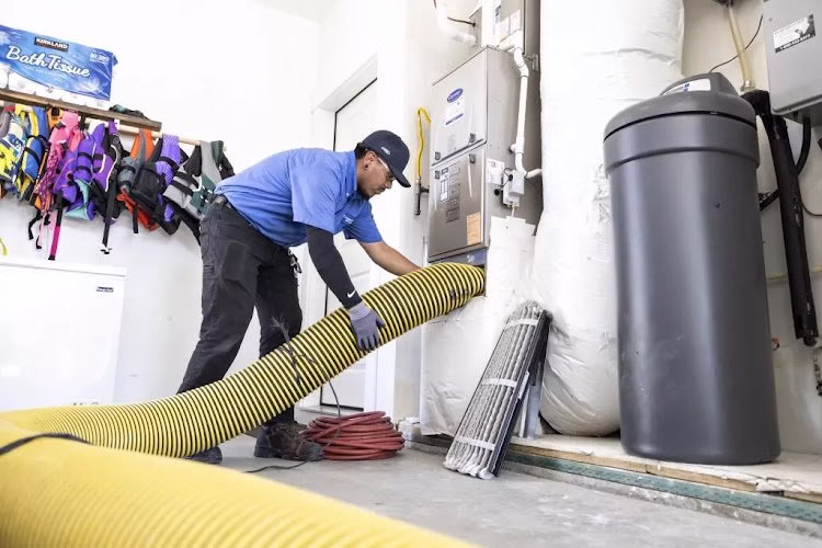 232348 leo sons home services