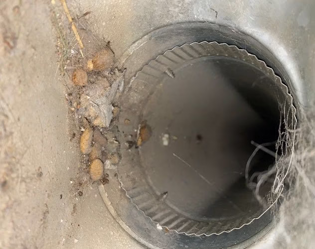 232608 fresh air duct cleaning englewood