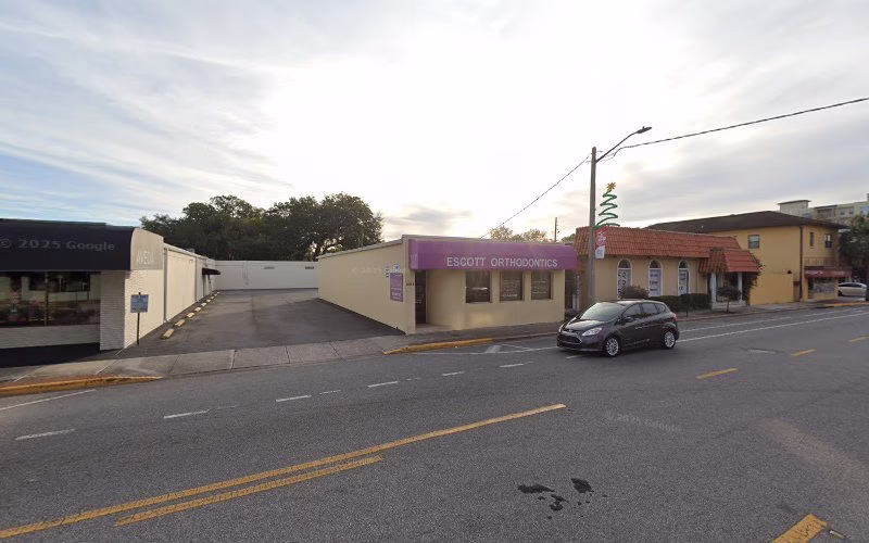 233288 swift chimney 1