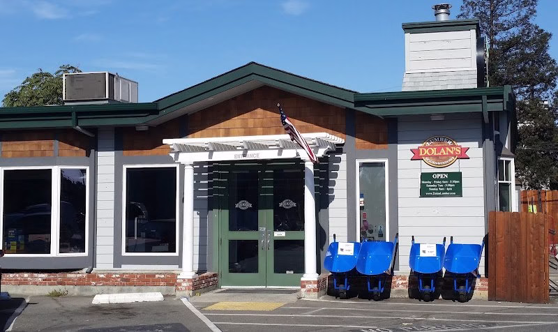 233807 dolans lumber doors and windows