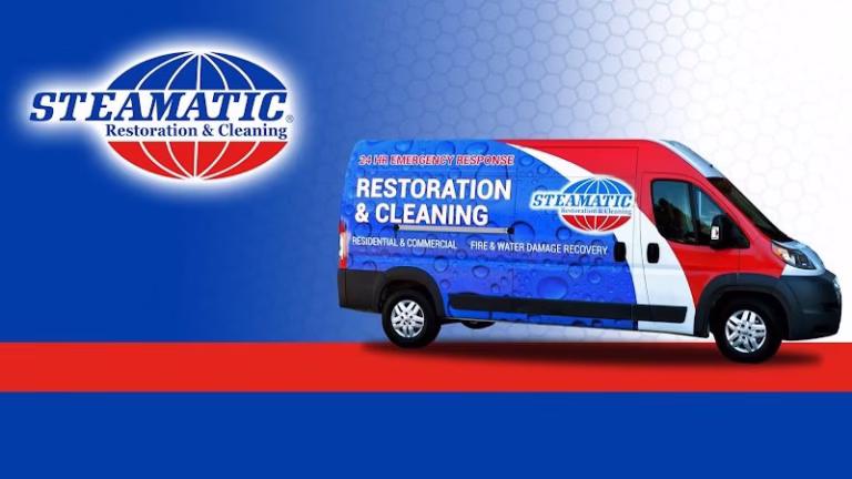 234241 steamatic of sw phoenix 768x432