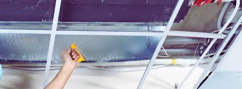 234559 friendly hands air duct care