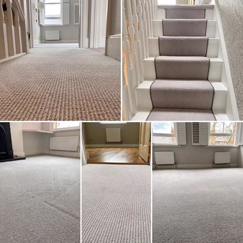 234851 alpha omega carpet care