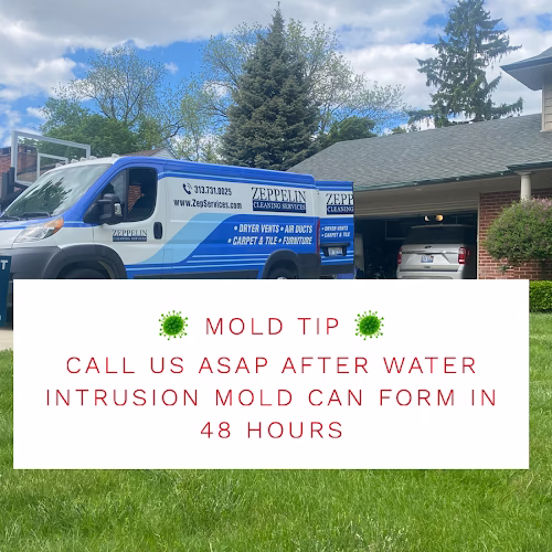 235499 zeppelin cleaning services