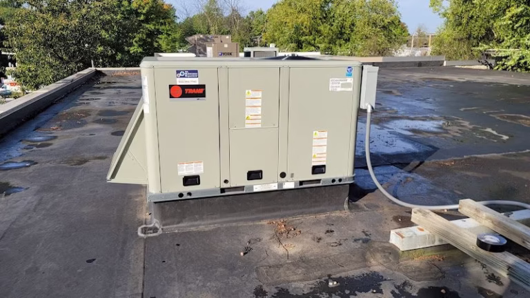 235609 the maintenance department 768x432