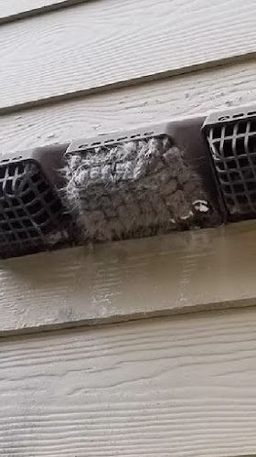 235742 dryer vent wizard of se wisconsin