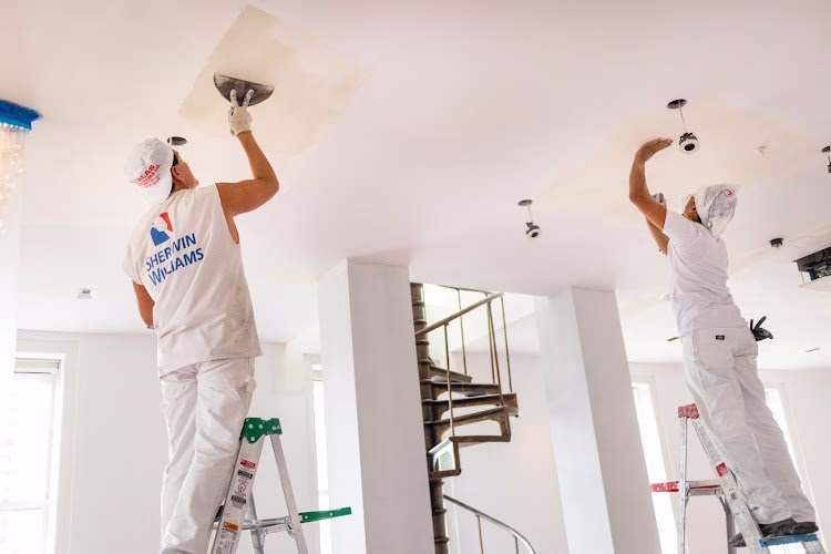 236173 chameleon painters