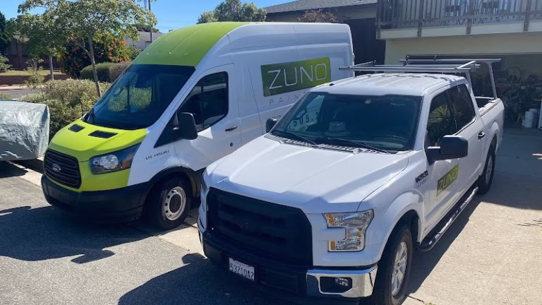 236205 zuno painting 768x432