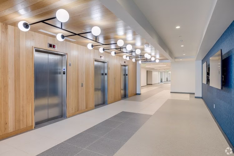 236469 palo verde painting llc