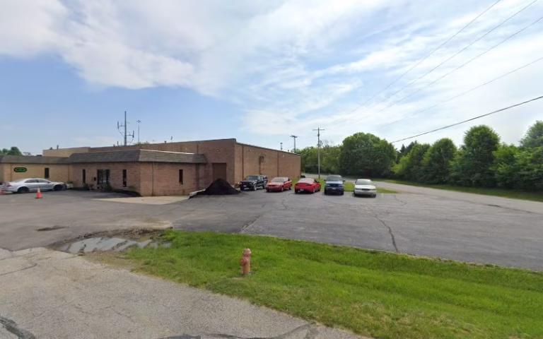 237212 precise touch painting 1 768x480