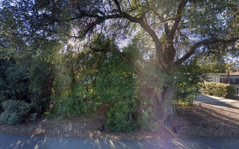 237338 atlas painting 1 768x480