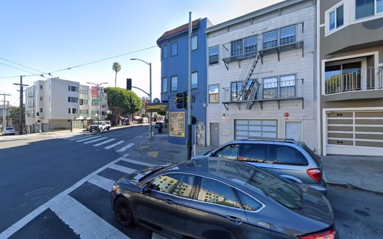 237351 maeve croghan nature painter 768x480